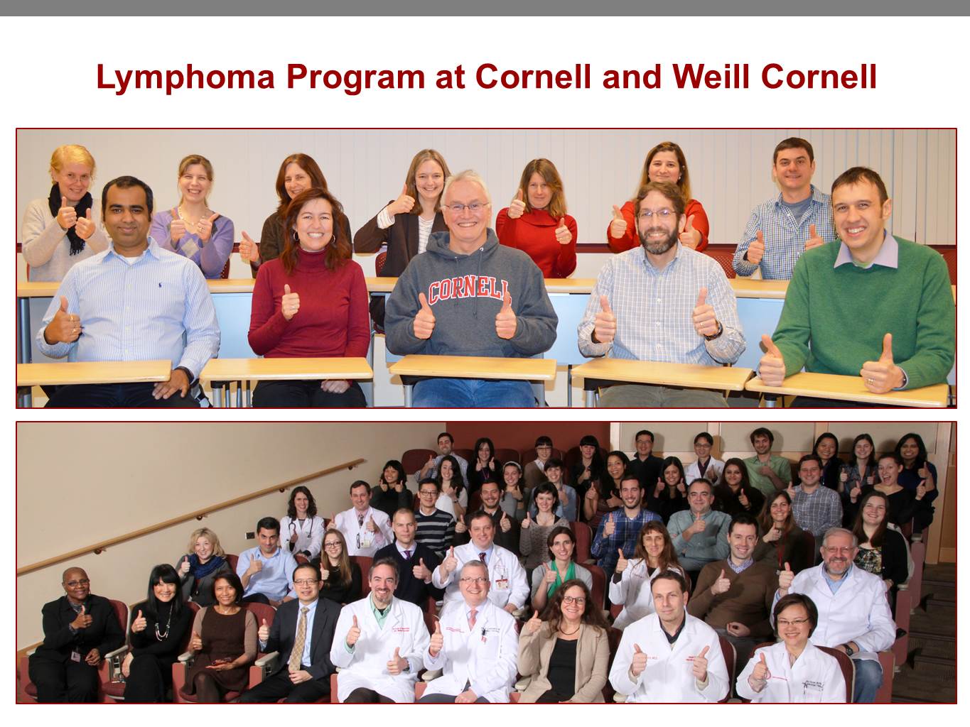 Lymphoma Program Members